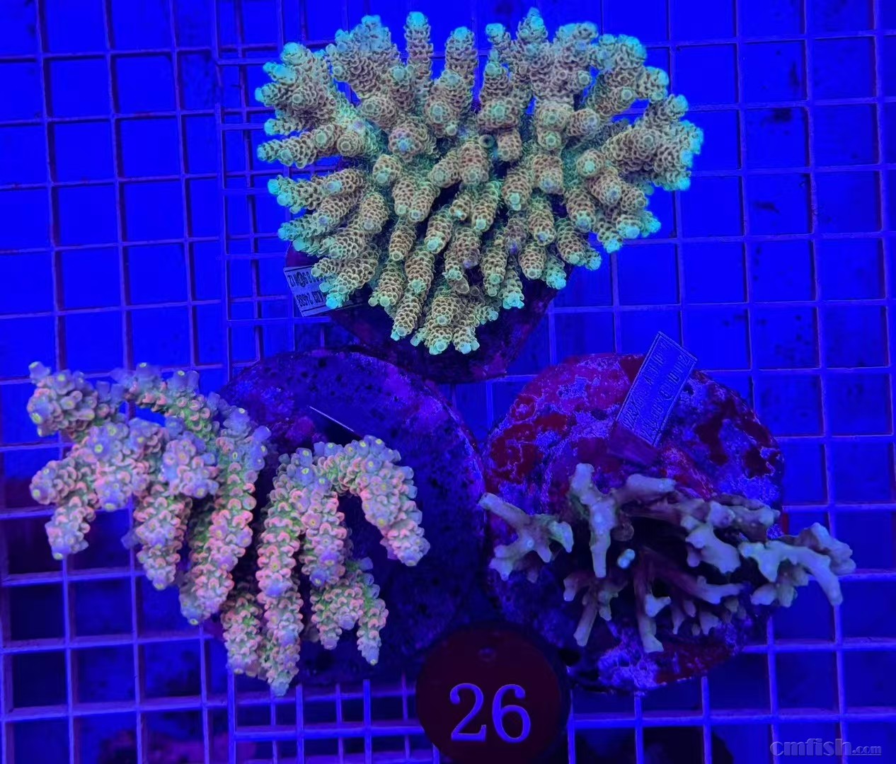 微信图片_20241023161511.jpg
