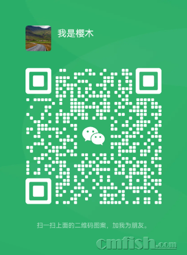 mmqrcode1729999822912.png