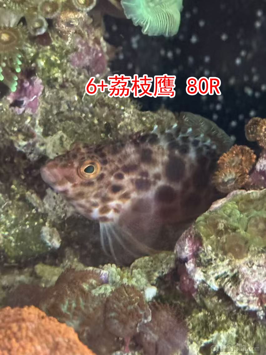 0737fbe3d95673d14bba005c5414ed4 ����.jpg