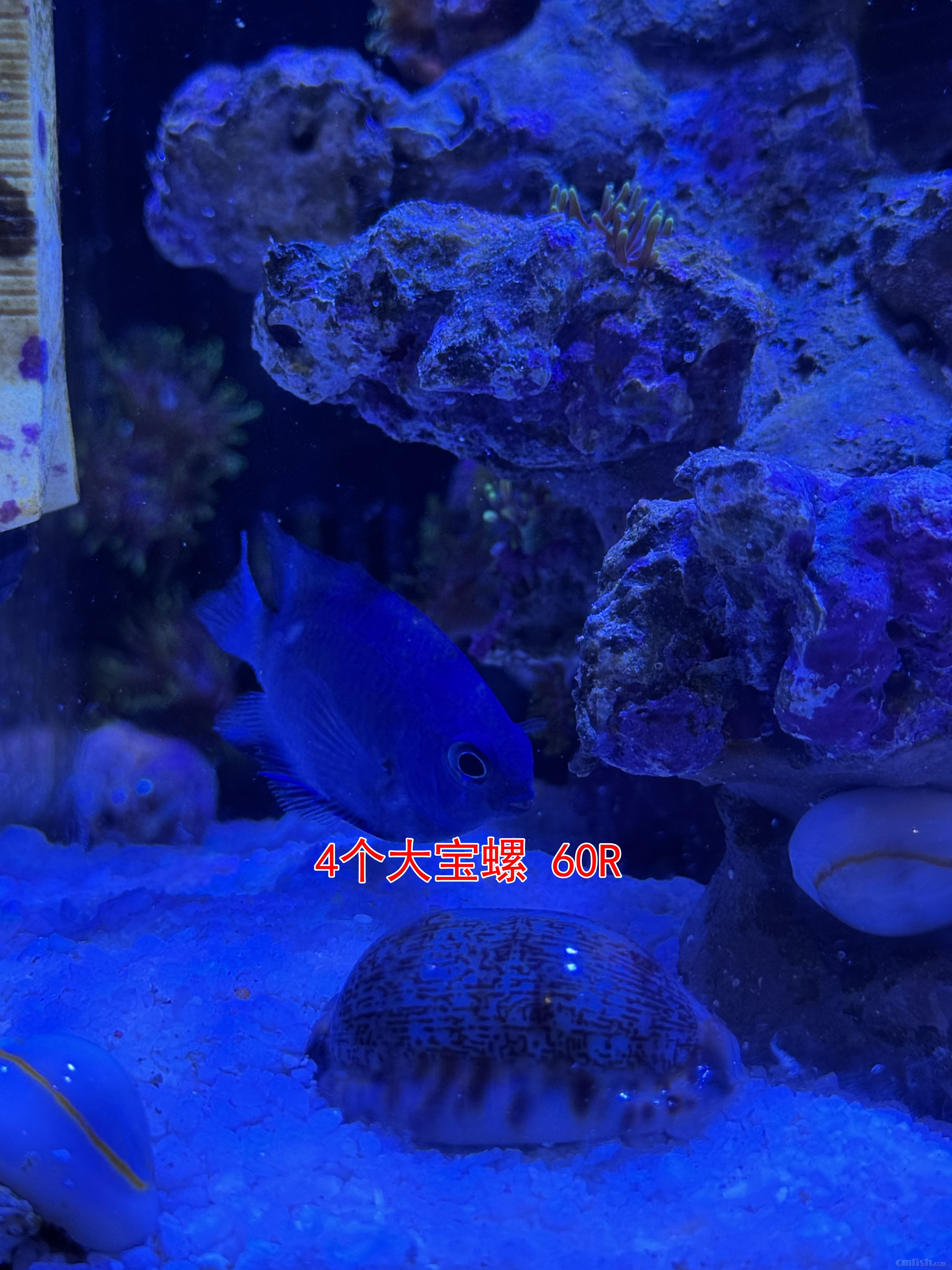 84d1a0e026a80a5c58df78e8b049d3e ����.jpg