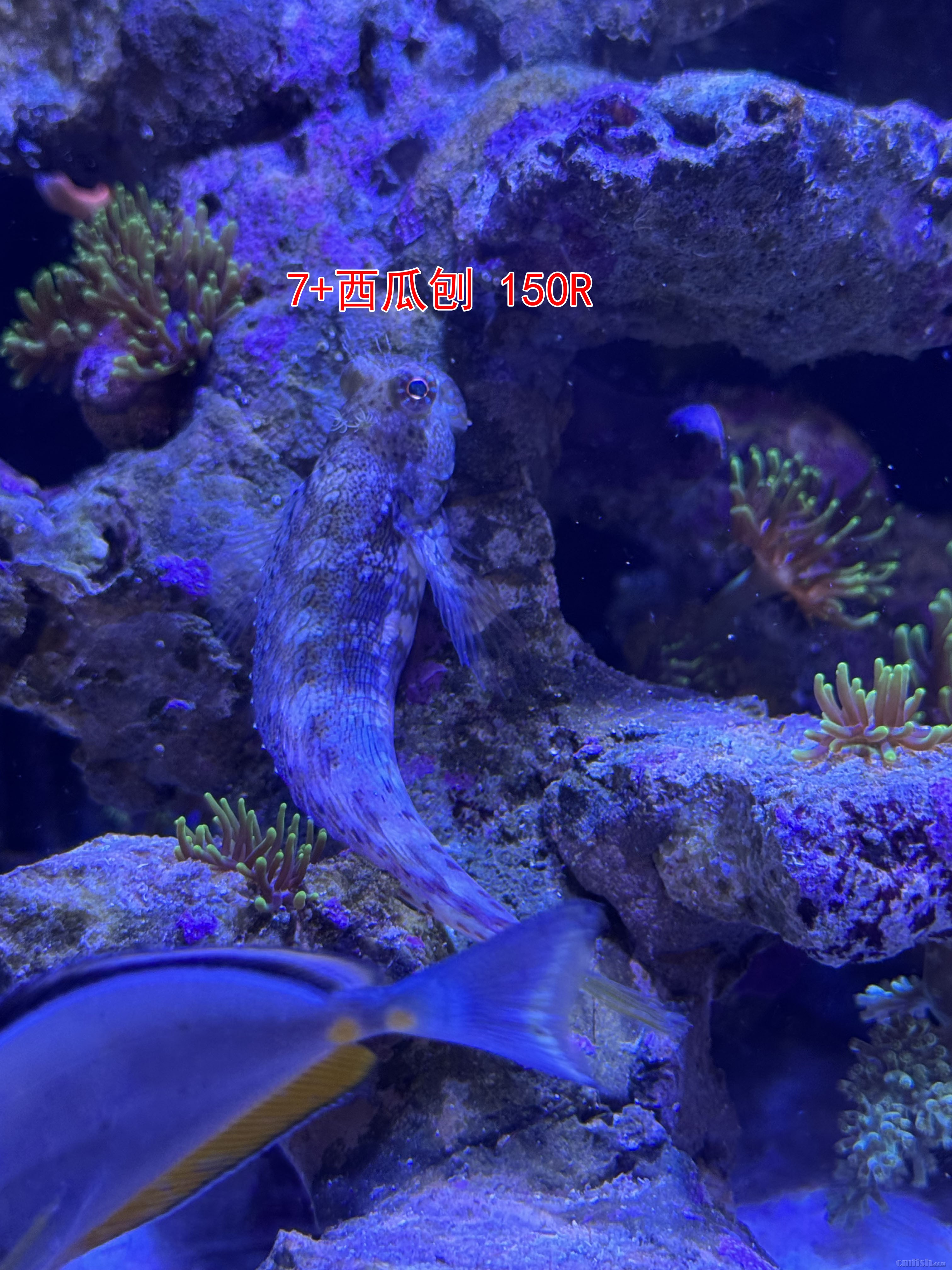 c6bc4122a1cdf17acd7804cfe51d58e ����.jpg