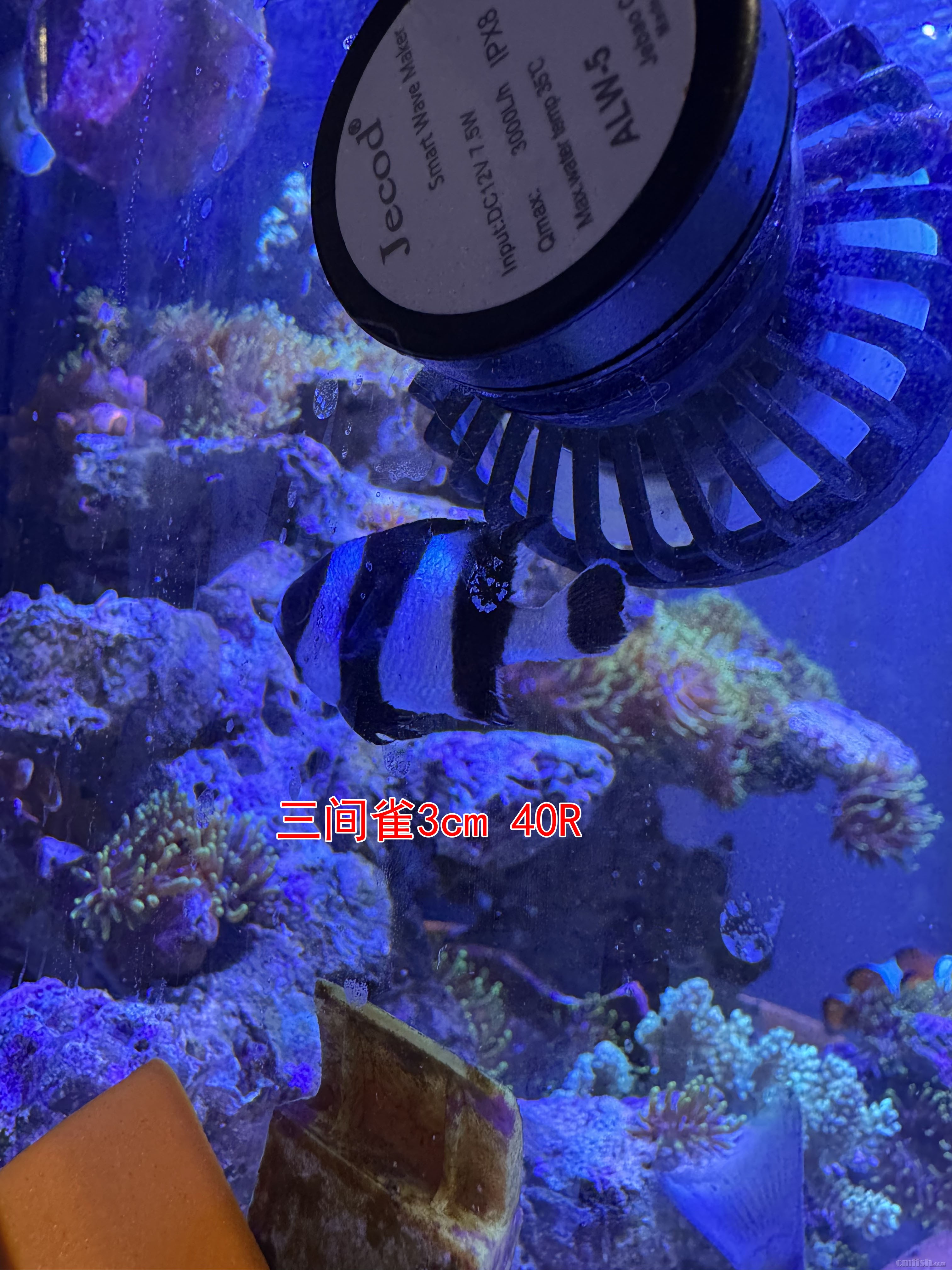 b8eac2c3cb9d796a543d6c84a0a1685 ����.jpg