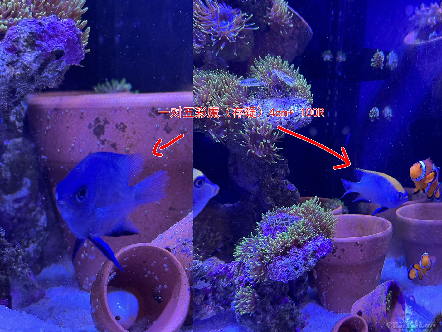 02dd14bd4656691c75b9925a15f07a9 ���� 2.jpg