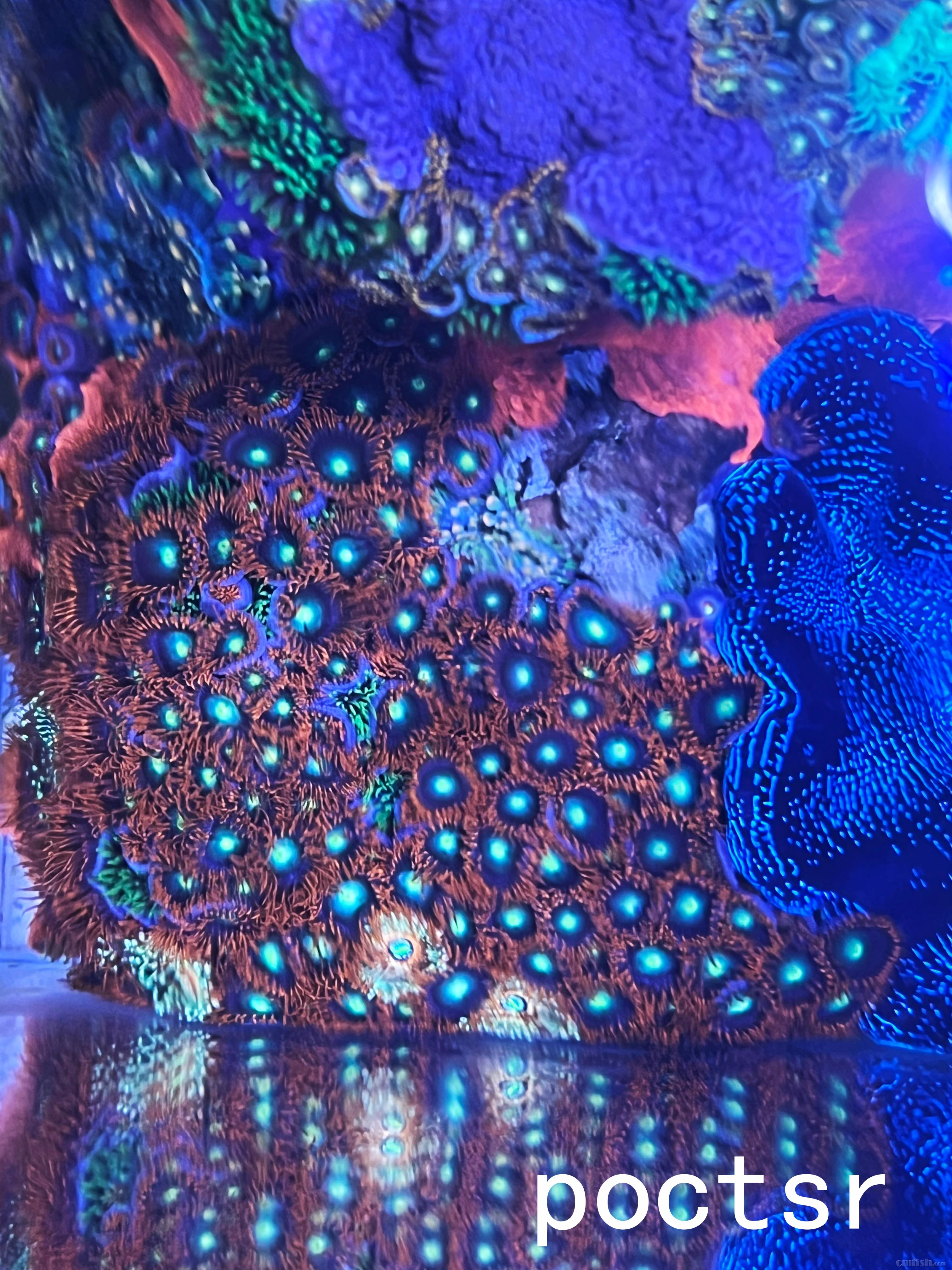 ���ִ���Ŧ��ɽ�ɾ�