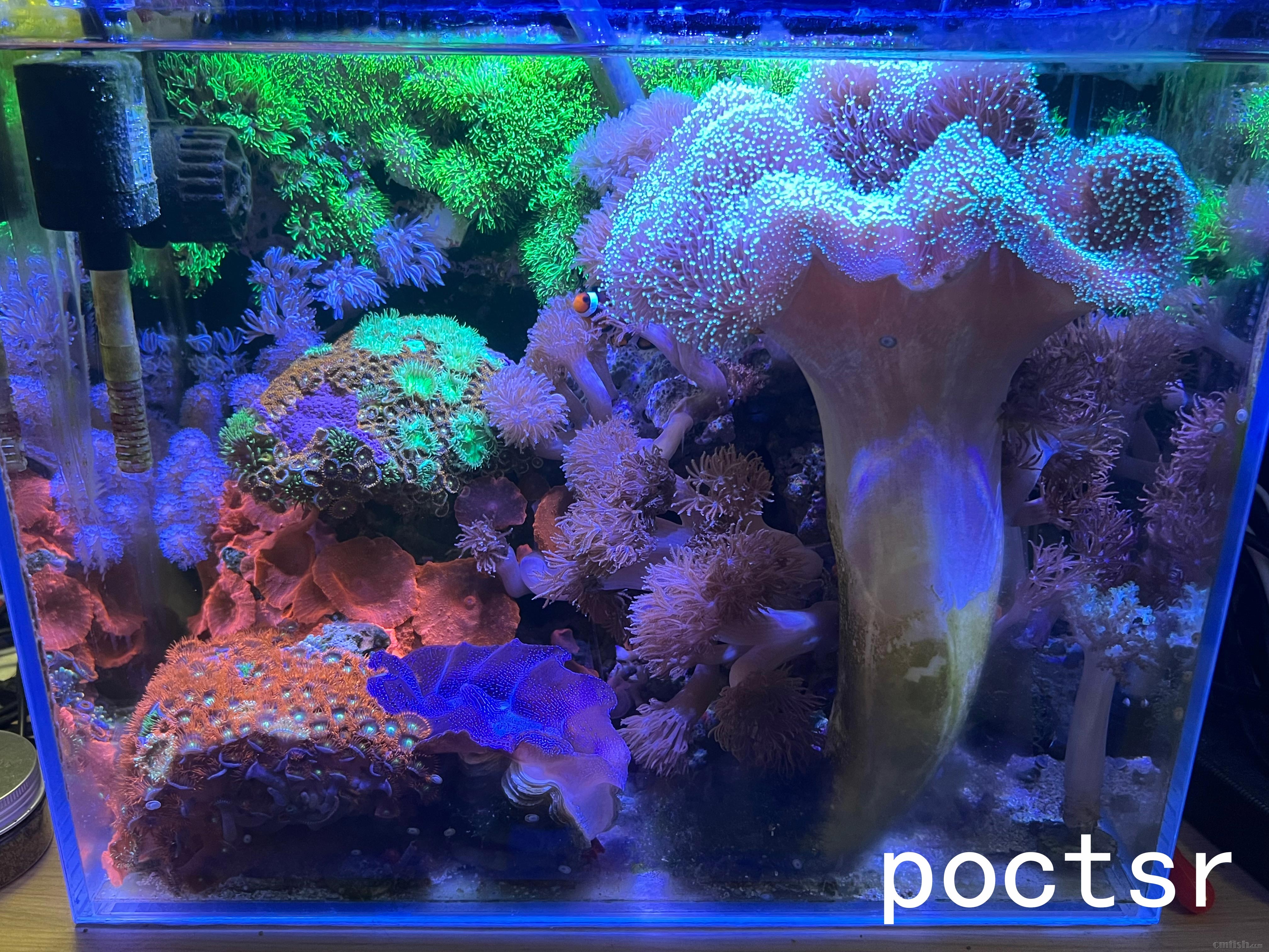 ��Ƭ��Ƥ�������������ﶼ��