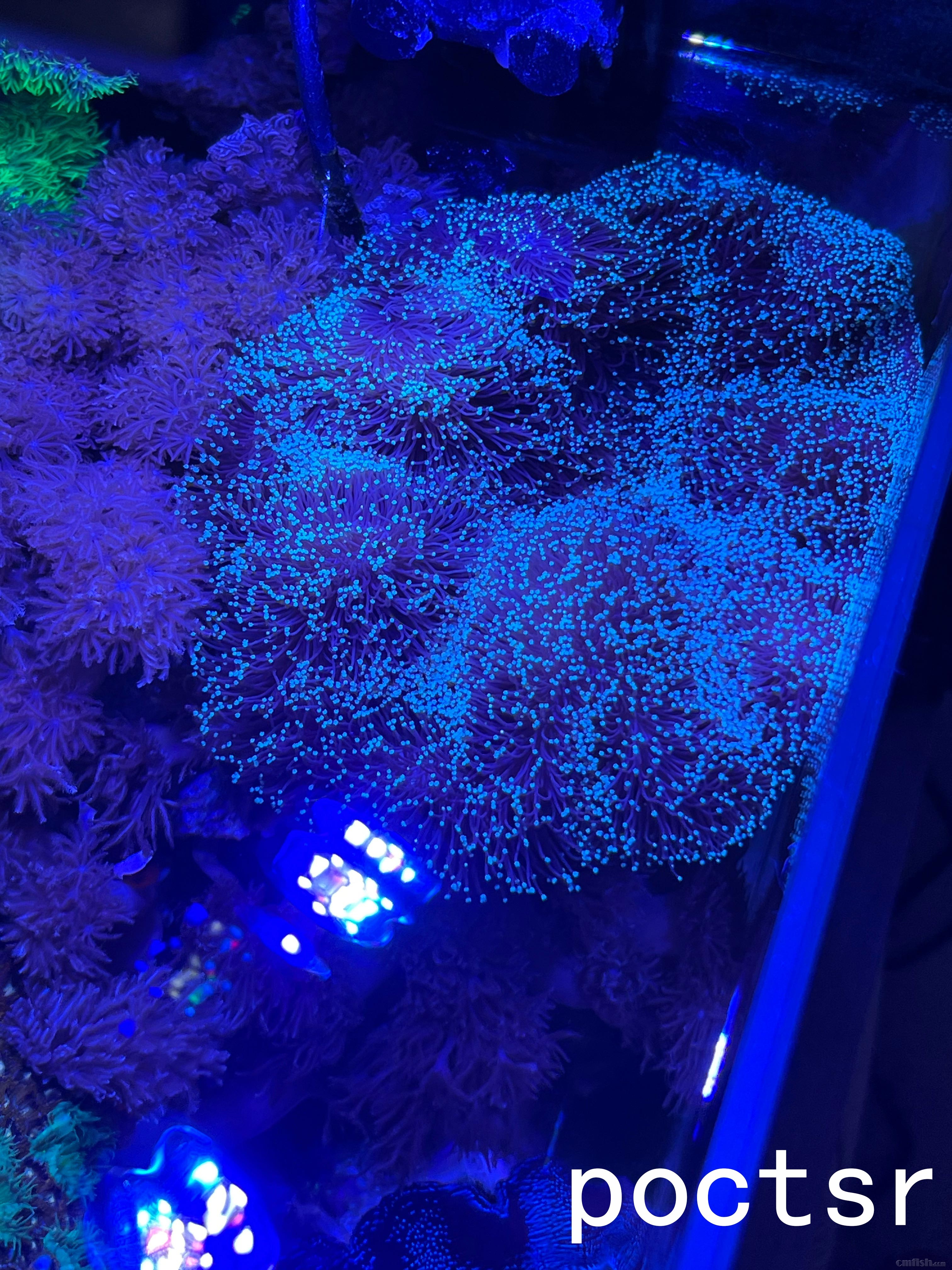 ����Ƥ�ڶ��Ƕ�