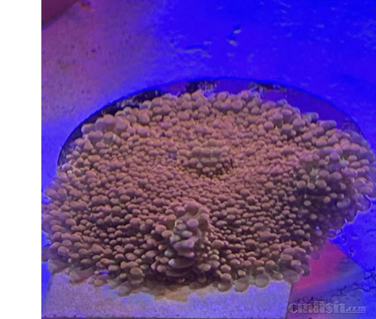 ����2024-11-05 ����1.30.52.png