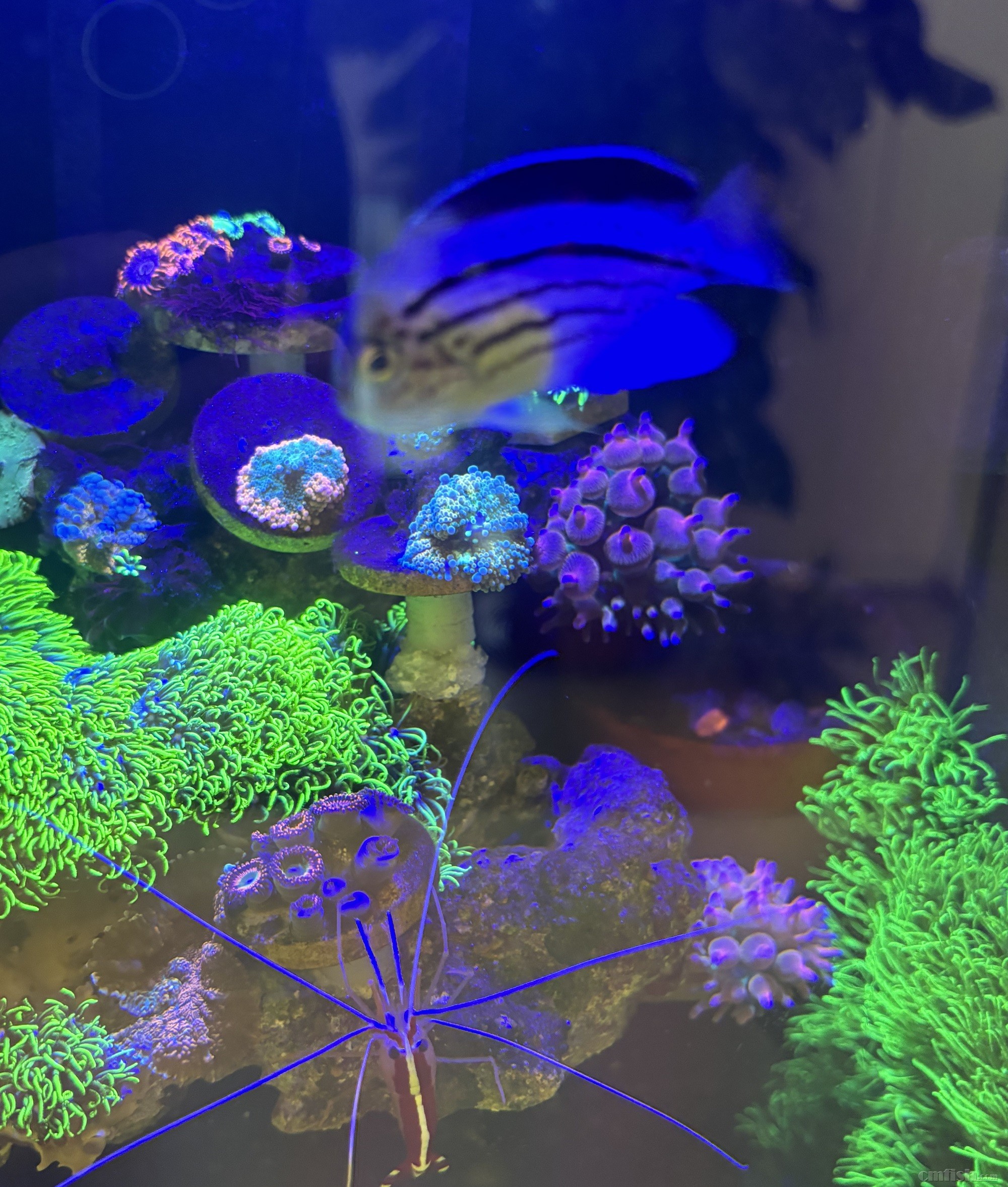 4+������