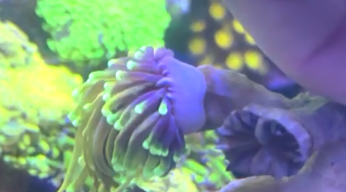 ����2024-11-13 ����3.56.06.png