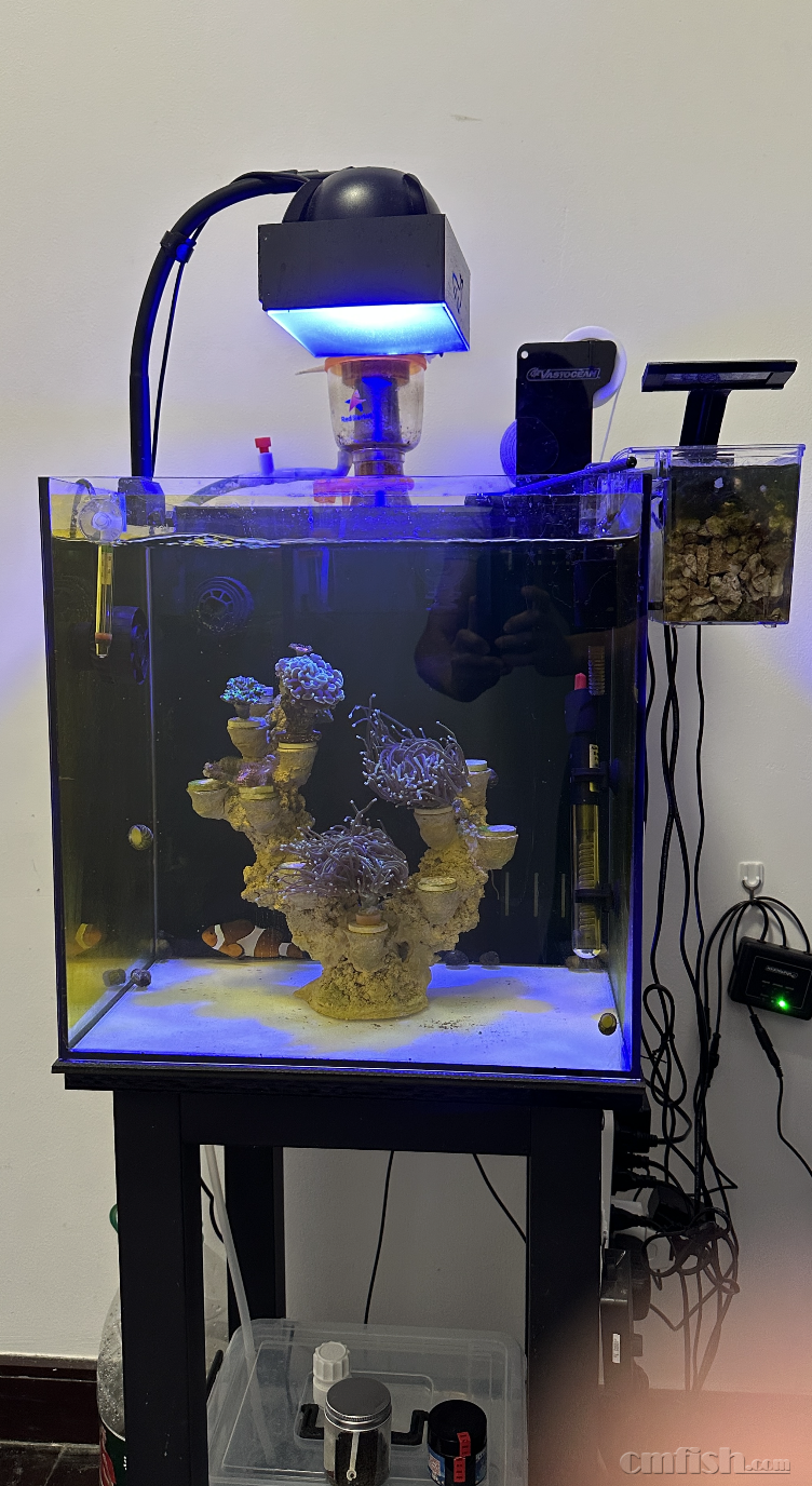 ����2024-12-13 ����9.32.18.png