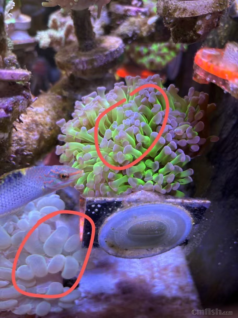 �����ݺͷ�֧