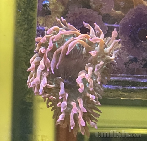 ��ˮ����10��������80Ԫ