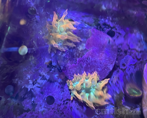 5��������50Ԫ