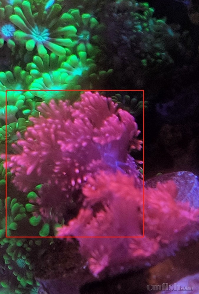 ������������ͼ��2/2��