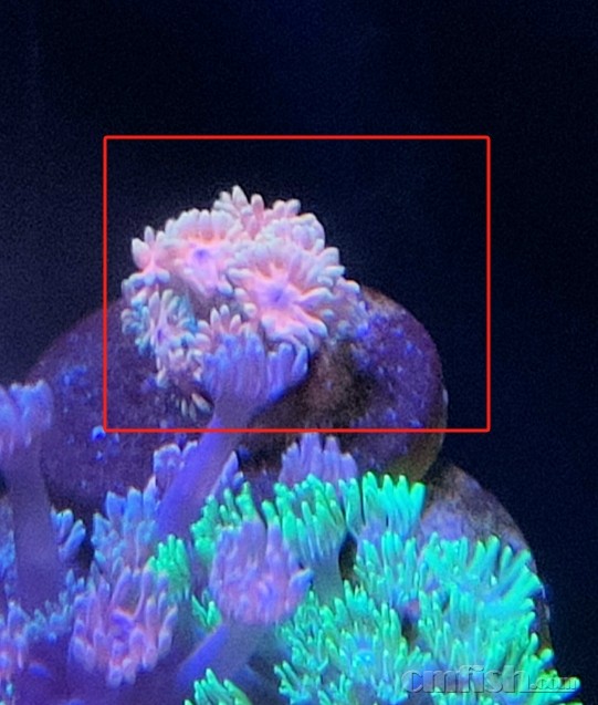 ���ɫ�Ĳʵ���180