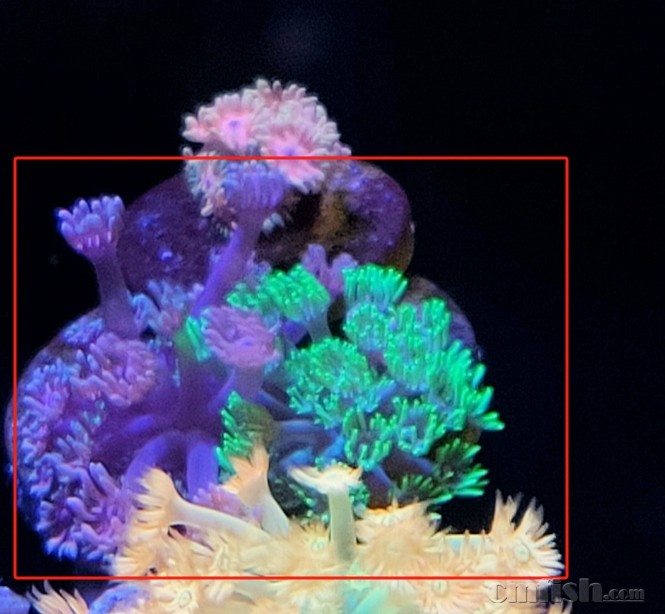 ������+�̵���ƴ��180