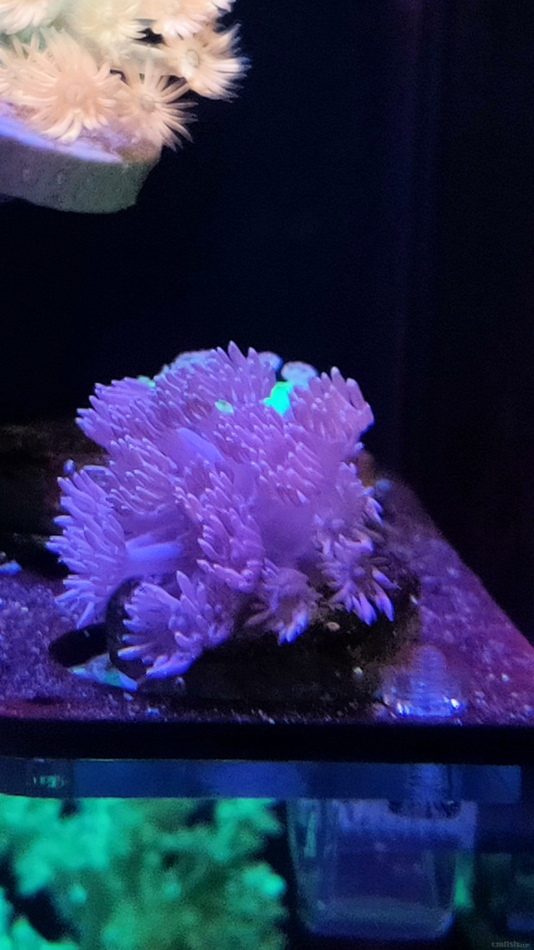 ������35ͷ90