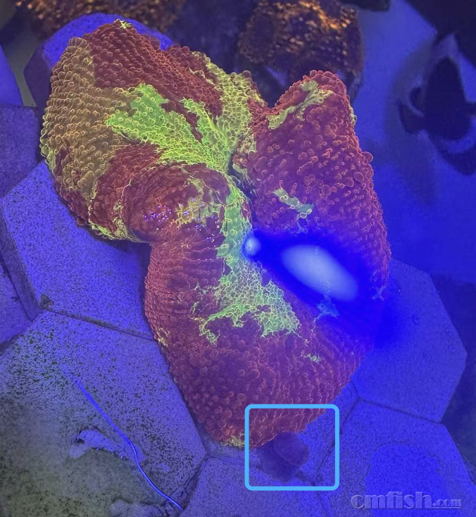 ����2025-01-07 ����3.36.57.png