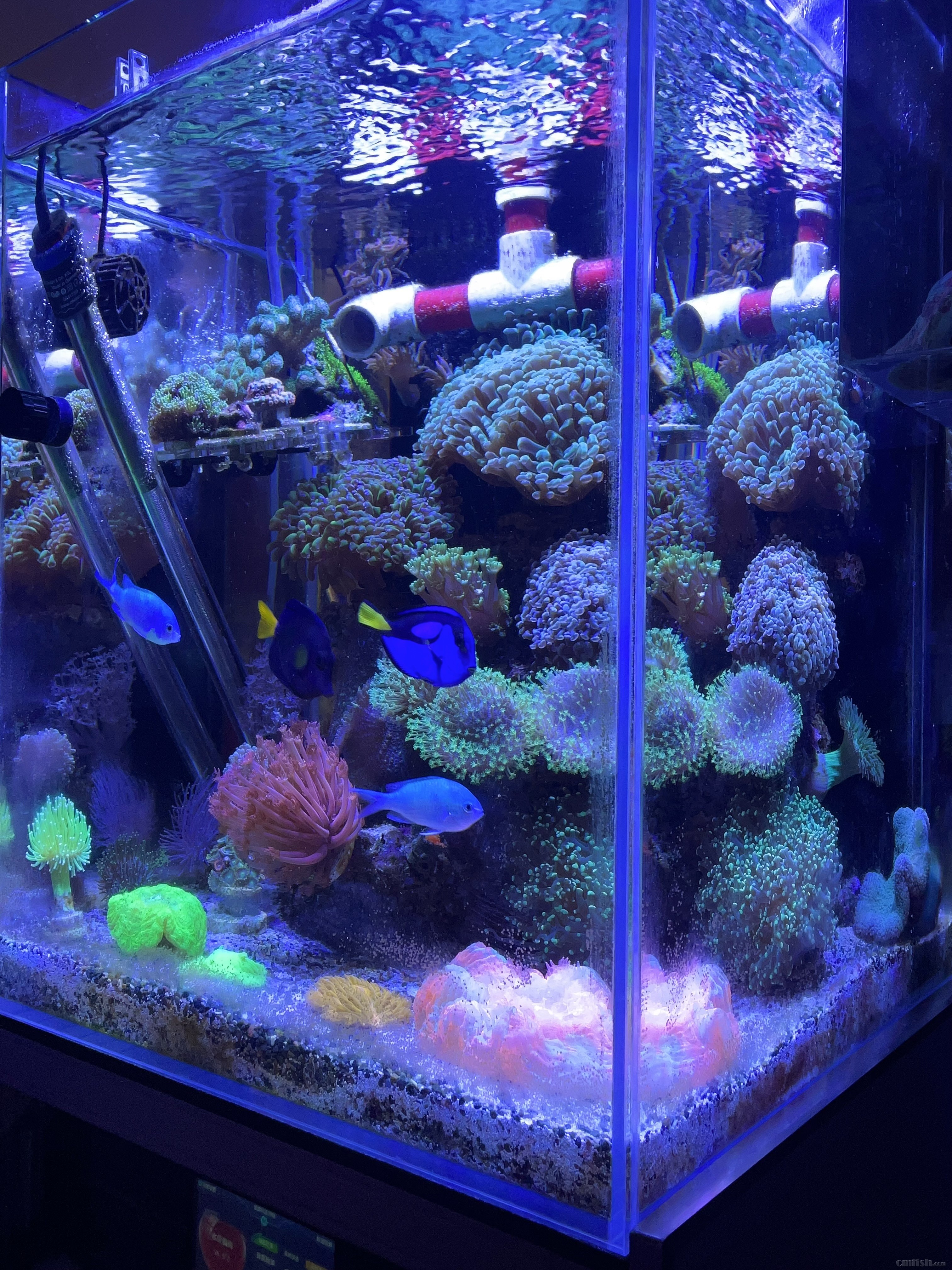 ������ 2025Ԫ��