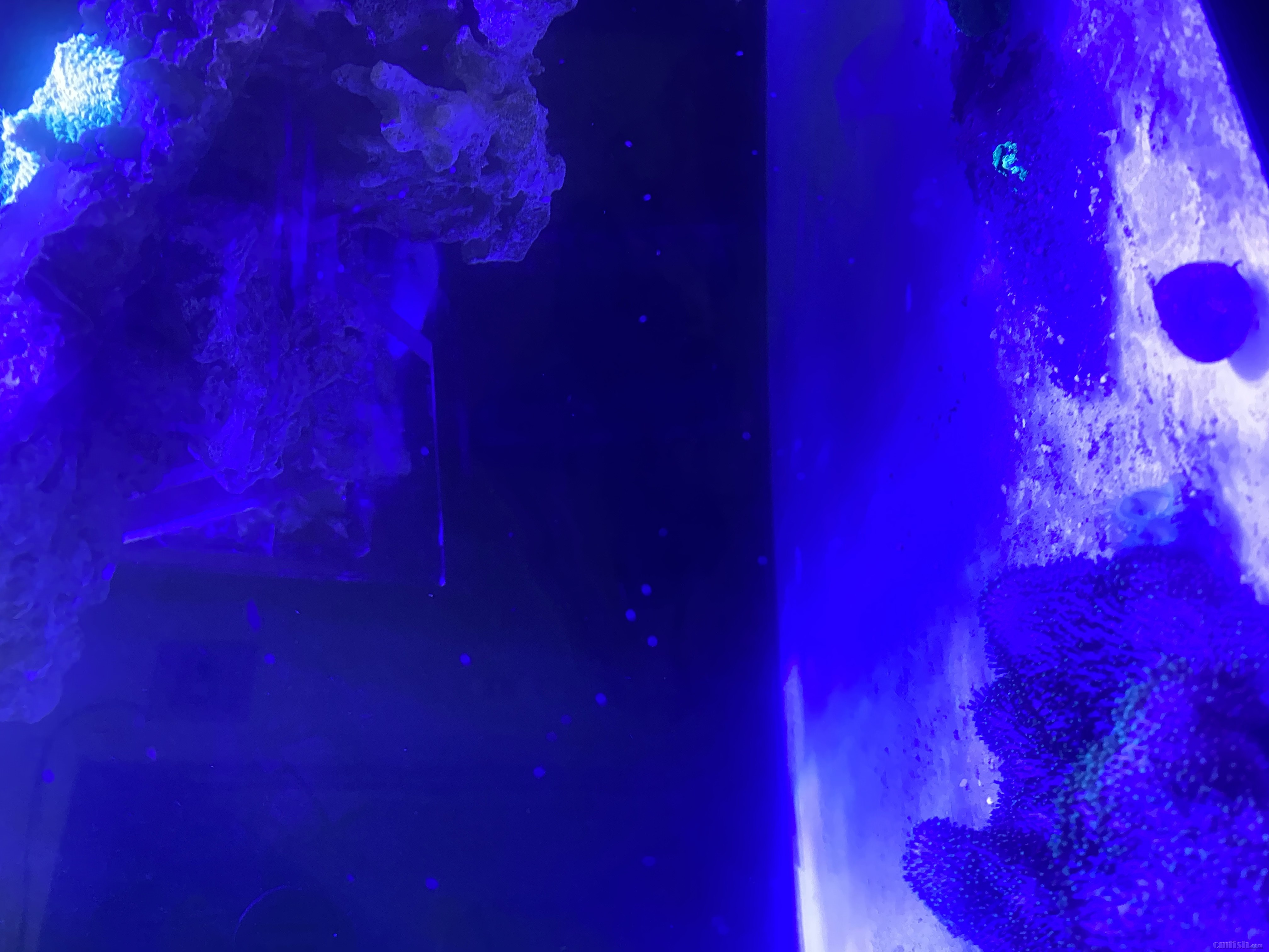 84951ADA-F7AA-48D0-9C56-31A63F637228.jpeg