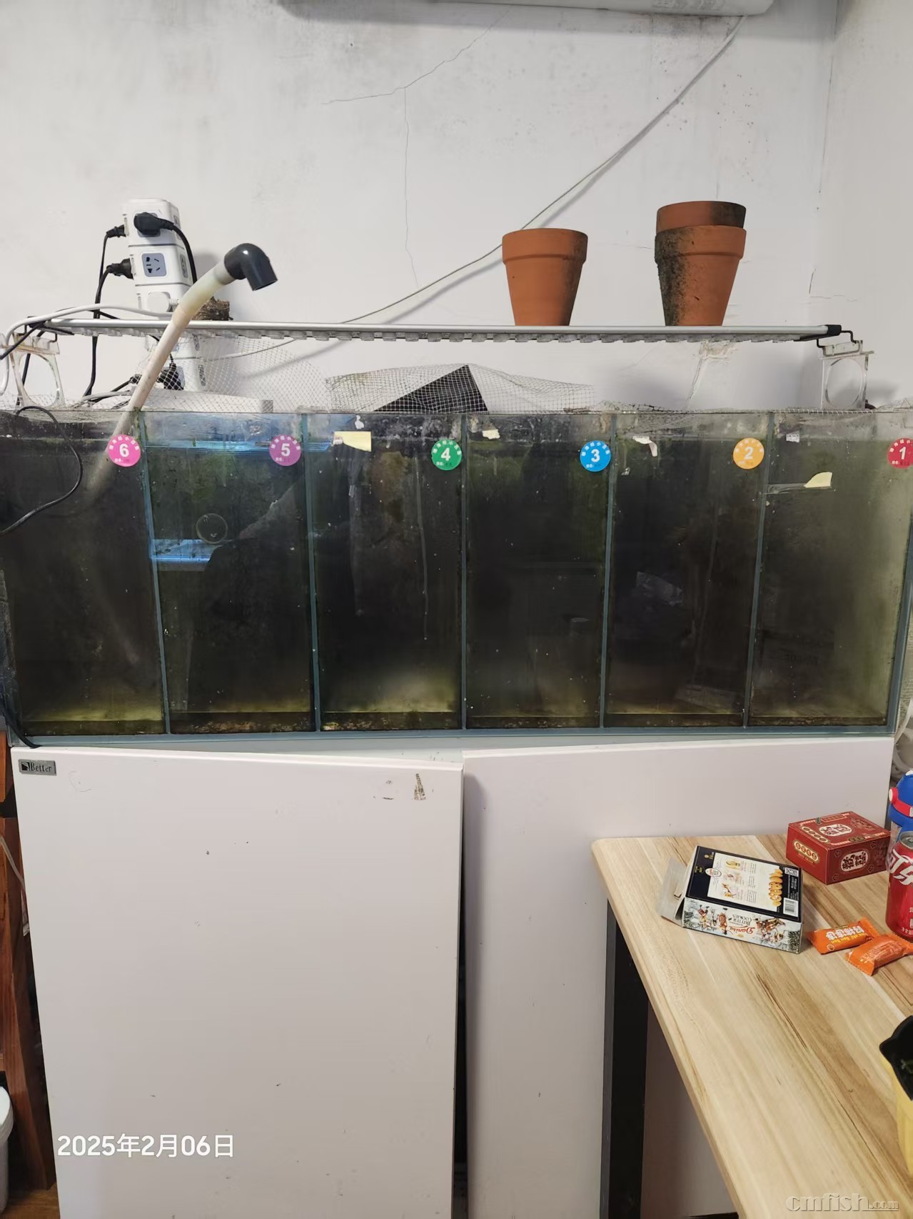 fish tank 1.jpg