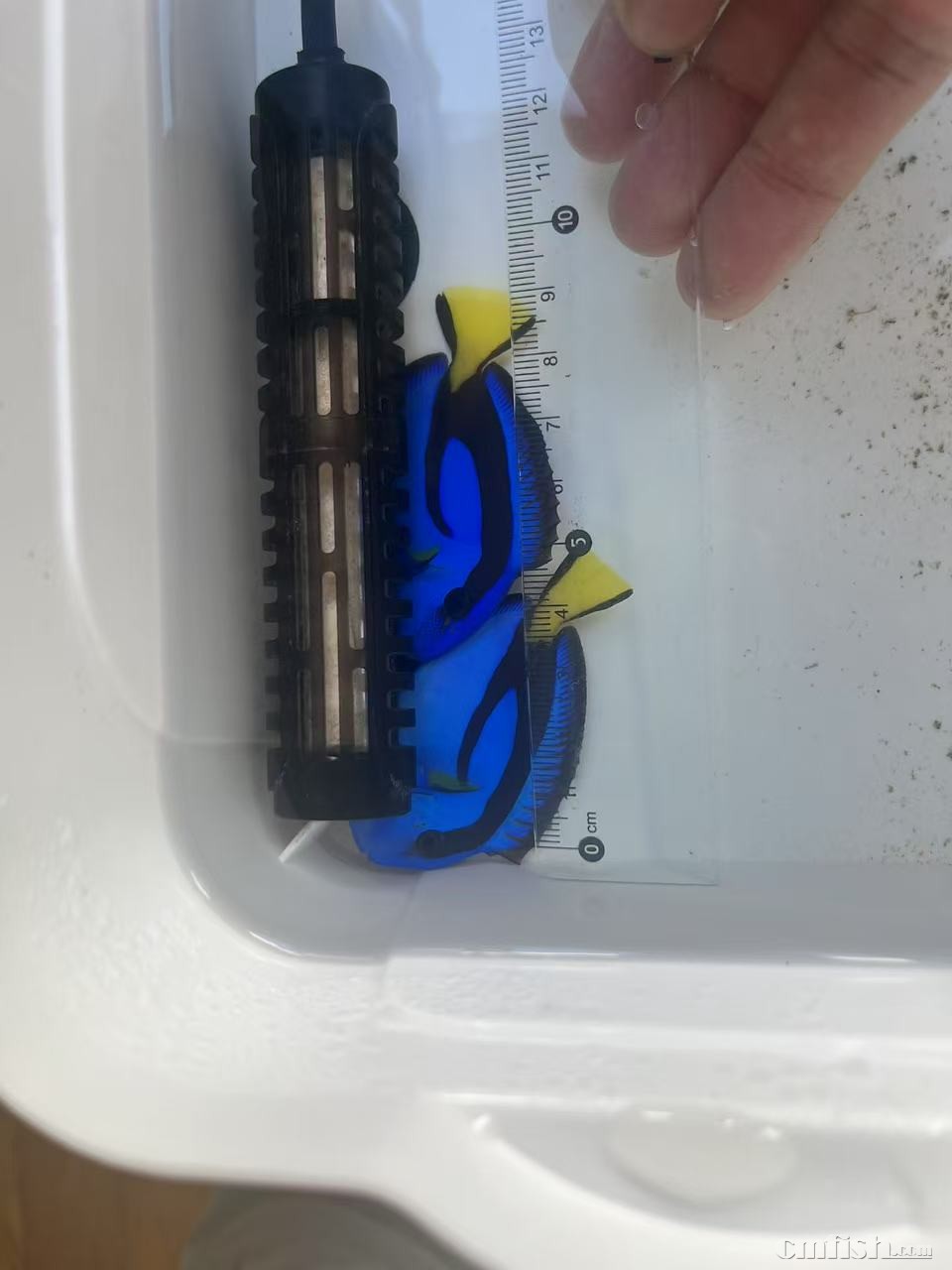 �̳��������ĵ�