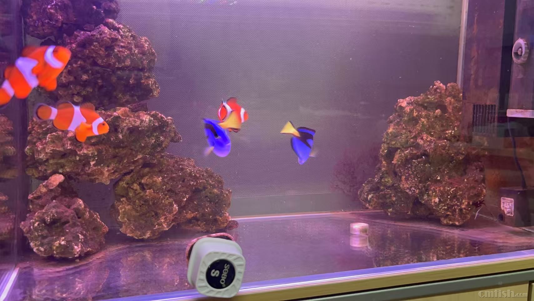 ǰ�����ڸ����ĵ�