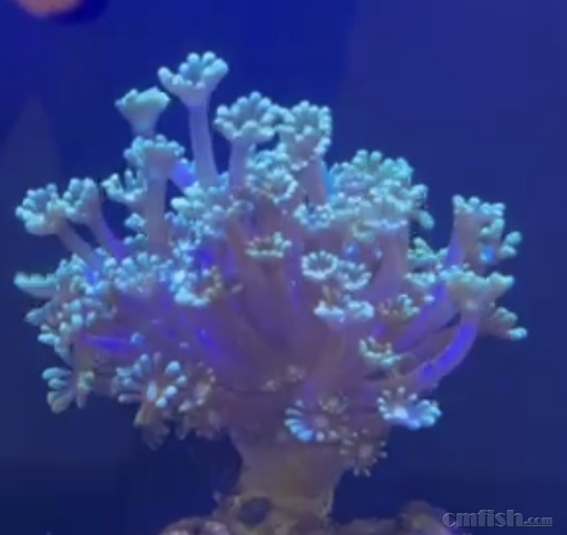 ����2025-02-25 ����2.02.50.png