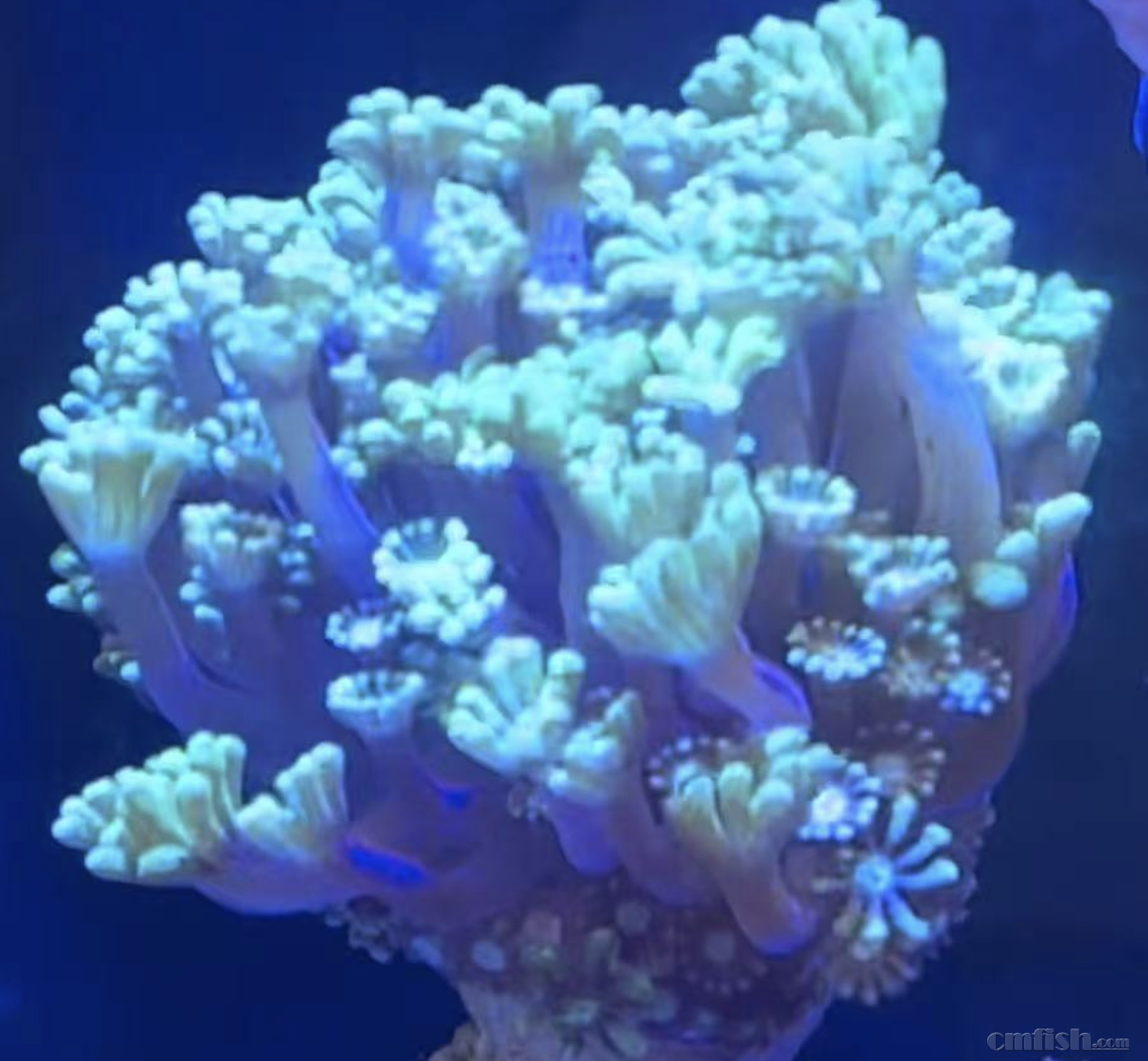 ����2025-02-25 ����2.02.58.png