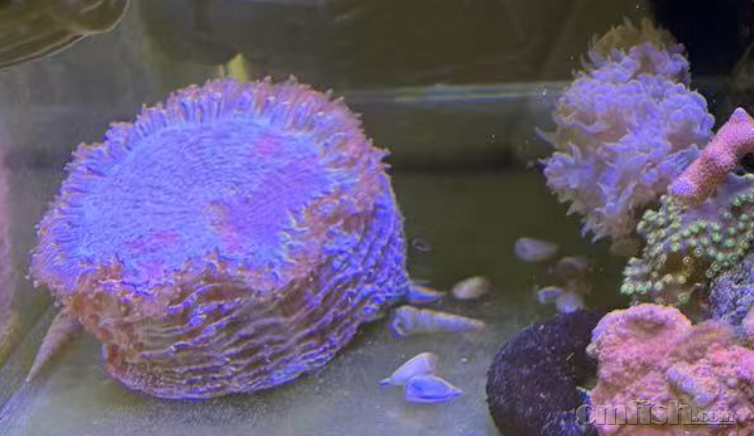 ����2025-03-02 ����10.13.45.png