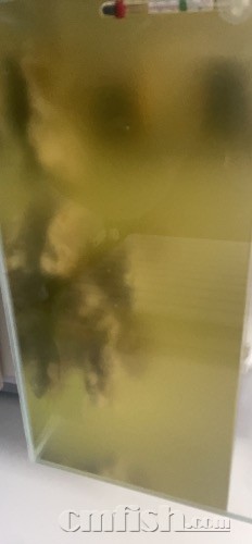 IMG_4396.jpeg