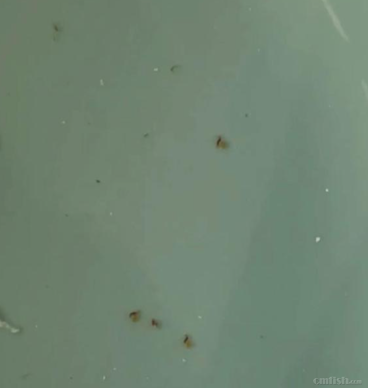 ��ɱ��ˮ��