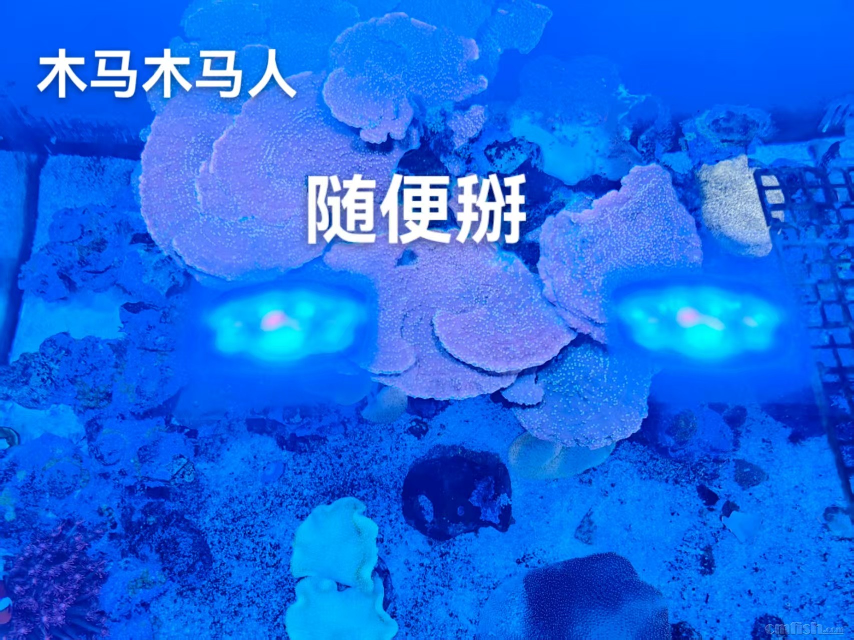 微信图片_20250411102259.jpg