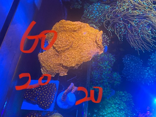 5103A54F-5157-4E77-A697-1FEE5F1F594A.jpeg