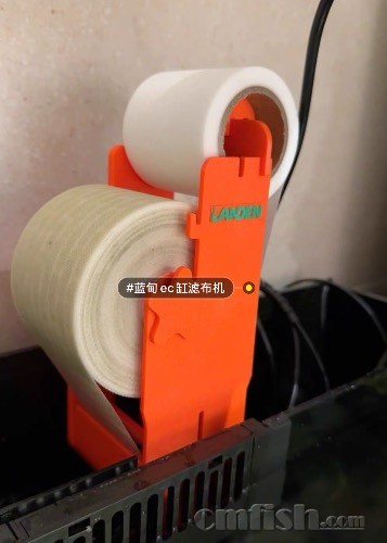IMG_8205.jpeg