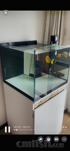 IMG_6840.jpeg