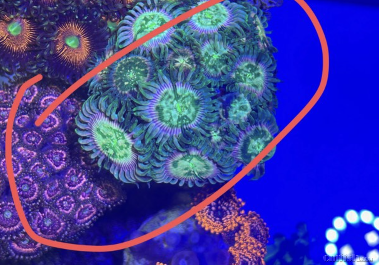 ����2025-07-07 ����9.34.50.png