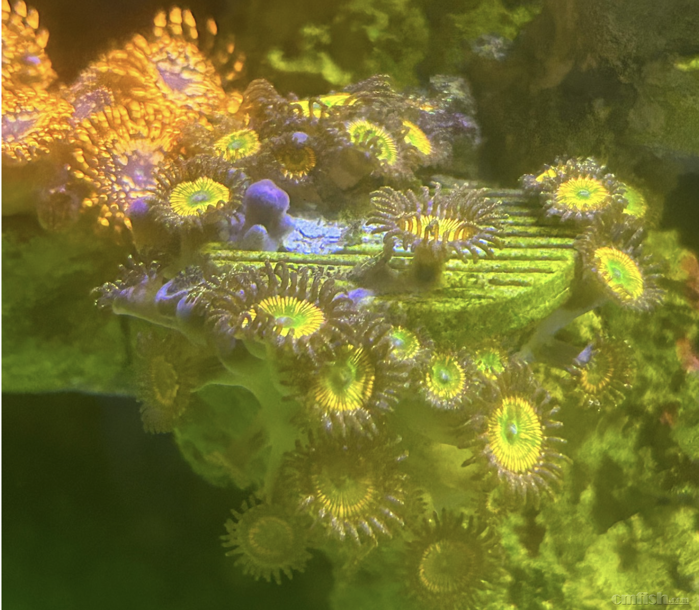 ����2025-07-07 ����9.35.07.png