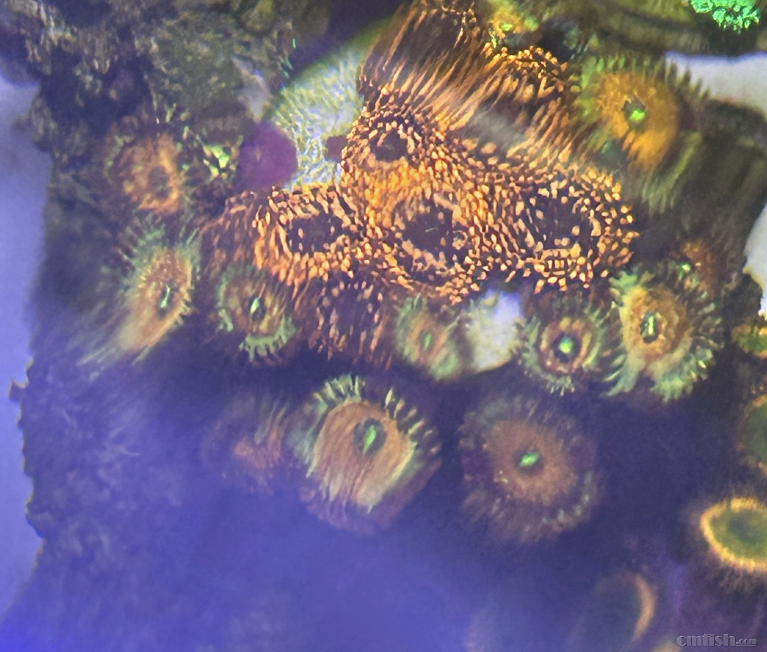 ����2025-07-07 ����9.35.01.png