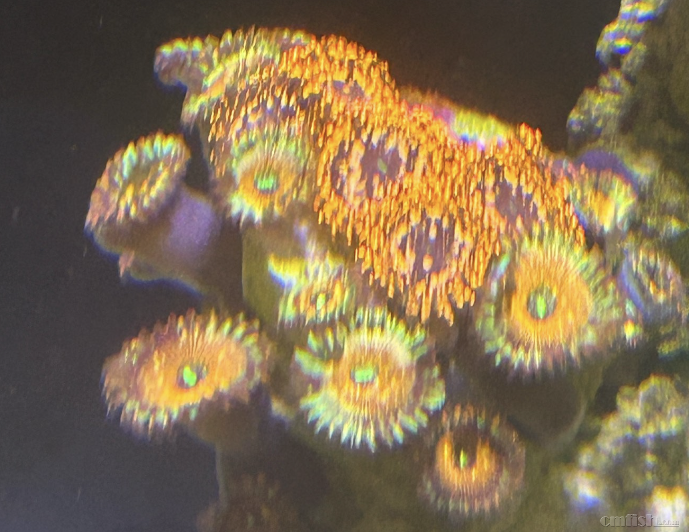 ����2025-07-07 ����9.34.55.png