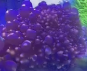 ����2025-07-09 ����9.45.37.png