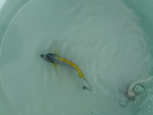 �̵�Ͱ����