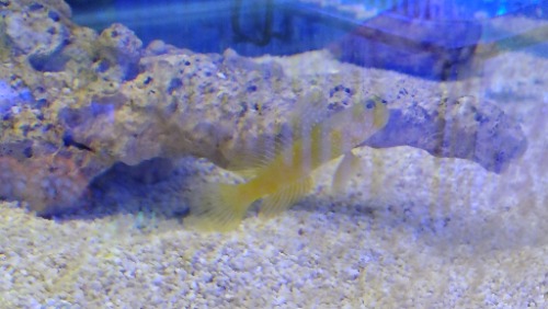 IMG_20250715_143044639.jpg