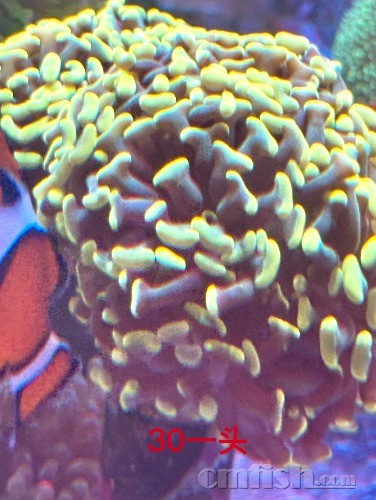 IMG_0817.jpeg