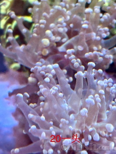 IMG_0811.jpeg