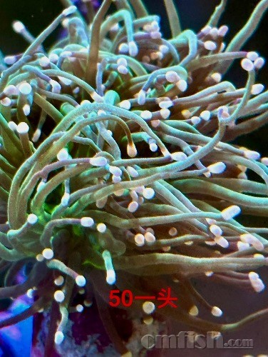 IMG_0807.jpeg