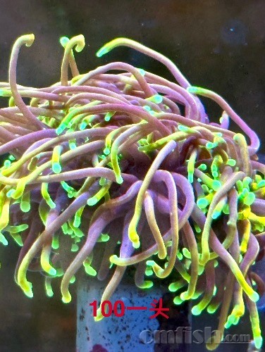 IMG_0806.jpeg