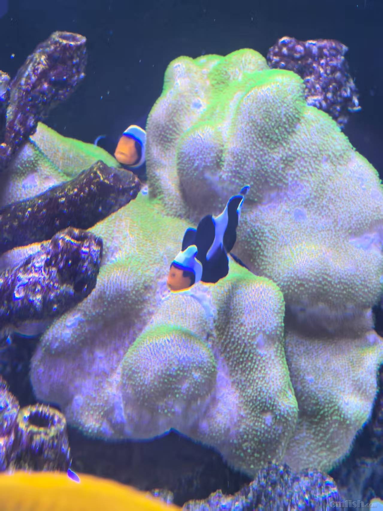 С��һ��100Ԫ���������꣬û������