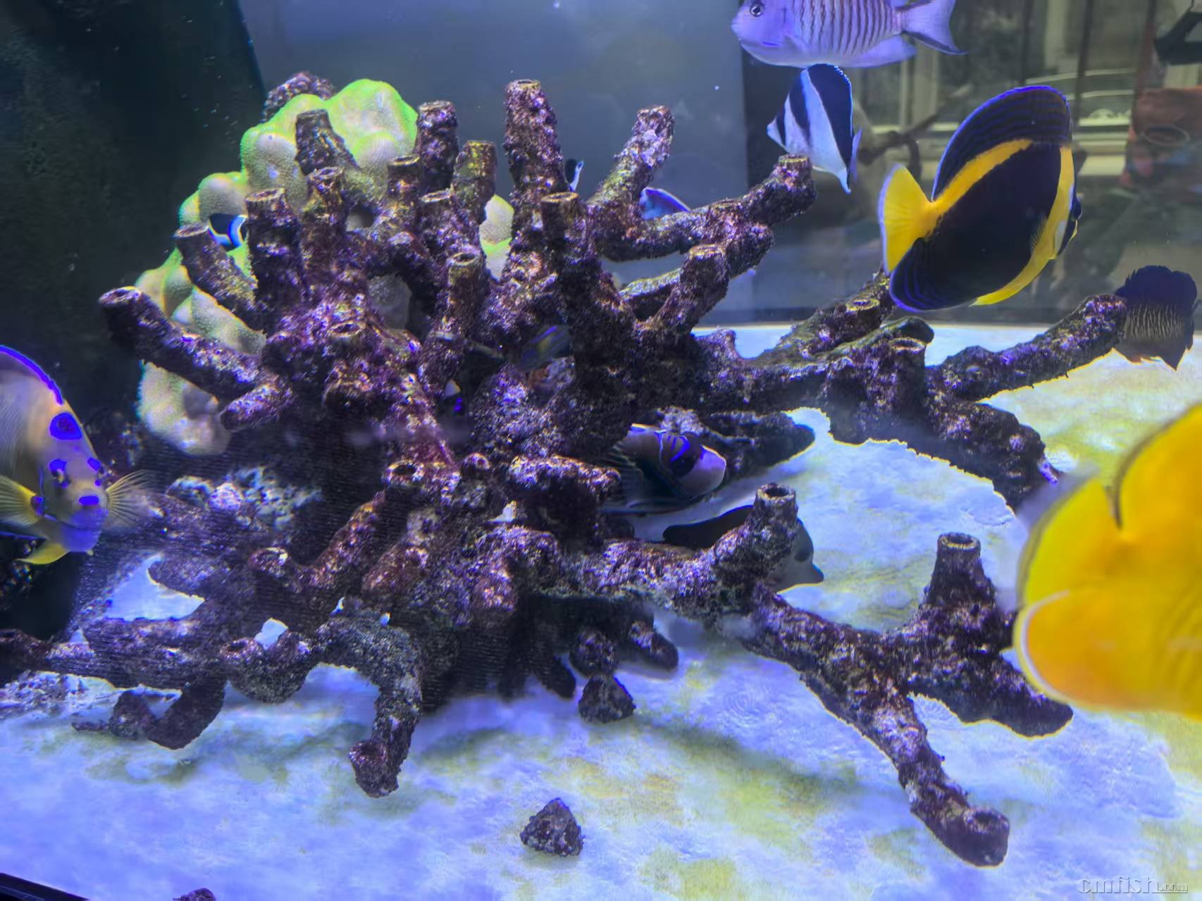 �����50���ߴ��30,80Ԫ�����»���