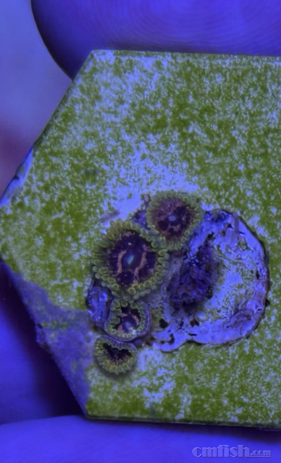 ����2025-08-25 ����1.31.50.png